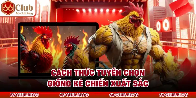 Cách thức tuyển chọn giống kê chiến xuất sắc