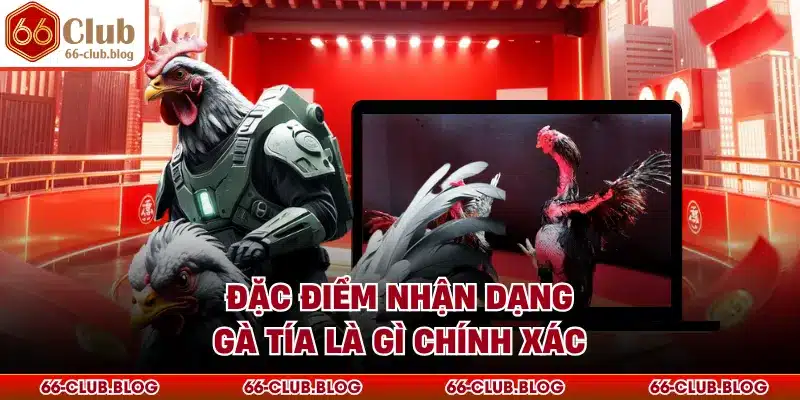 Đặc điểm nhận dạng gà tía là gì chính xác