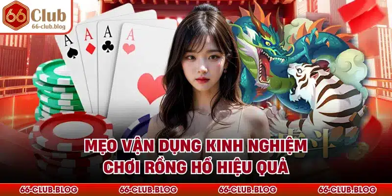 Mẹo vận dụng kinh nghiệm chơi rồng hổ hiệu quả
