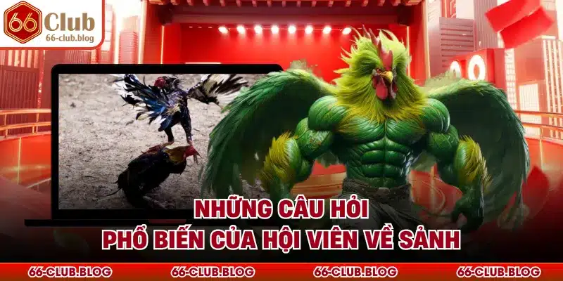 Những câu hỏi phổ biến của hội viên về sảnh