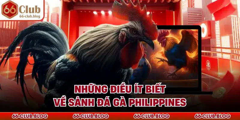 Những điều ít biết về sảnh đá gà Philippines