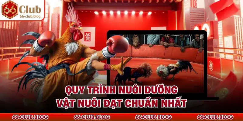 Quy trình nuôi dưỡng vật nuôi đạt chuẩn nhất