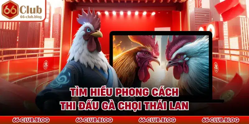 Tìm hiểu phong cách thi đấu gà chọi Thái Lan