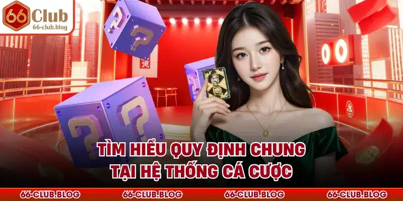 Tìm hiểu quy định chung tại hệ thống cá cược